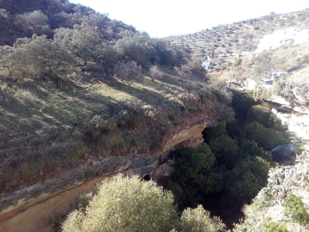 Casa Bermudez * Setenil De Las Bodegas